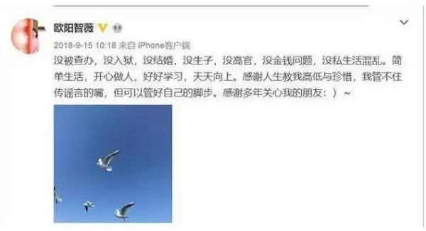 欧阳智薇和欧阳夏丹是姐妹吗?欧阳智薇和欧阳夏丹什么关系?-第9张图片-波音达手游百科