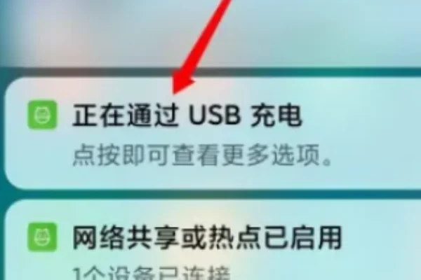 小米手机数据线接口的介绍与使用(小米2手机数据线接口损坏能修理吗)-第5张图片-波音达手游百科