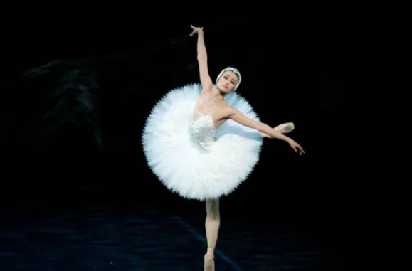 magnificent近义词(magnificent的用法)-第5张图片-波音达百科