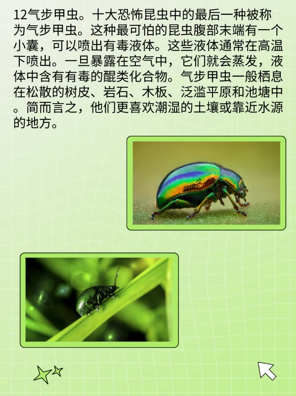 世界禁用的十大子弹(世界十大禁用枪支有什么?)-第14张图片-波音达百科