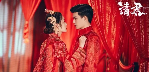 《请君》OST都有哪些?请问《请君》是什么类型的剧?-第8张图片-波音达百科