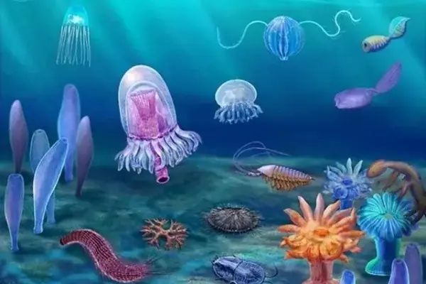 埃迪卡拉生物群出现于()。(为什么说埃迪卡拉生物群奇妙无比)-第5张图片-波音达百科