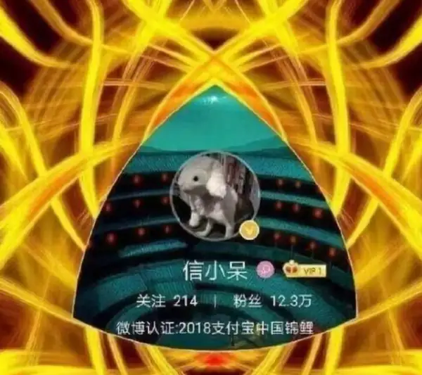 支付宝锦鲤在支付宝哪里?支付宝锦鲤卡有什么用-第20张图片-波音达百科
