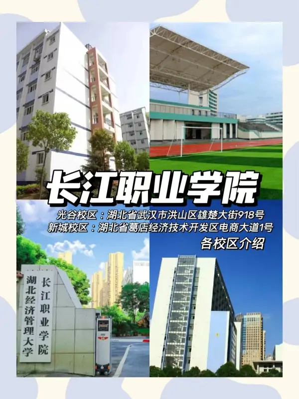 湖北职业技术学院和武汉的长江职业技术学院哪个好-第4张图片-波音达百科
