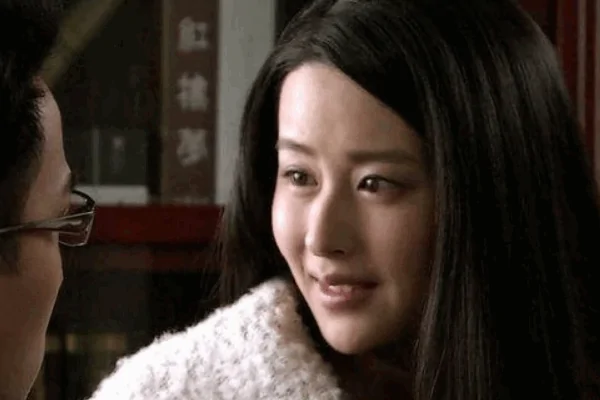 电视剧《千山暮雪》的内容是?如何评价电视剧千山暮雪?-第4张图片-波音达百科