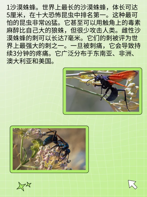 世界禁用的十大子弹(世界十大禁用枪支有什么?)-第3张图片-波音达百科