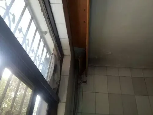 益阳坠楼男孩24天后脱险,这名男孩当初是如何坠楼的?-第5张图片-波音达百科