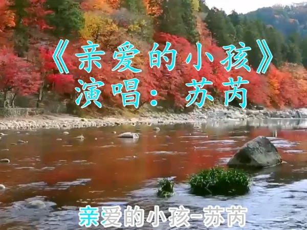 我亲爱的小孩歌曲原唱(亲爱的小孩原唱是谁唱的歌)-第1张图片-波音达百科