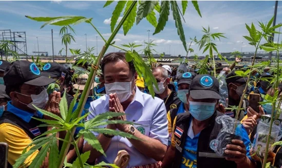 世界上最安全的国家在哪里?世界上哪个国家的食品最安全?-第2张图片-波音达百科