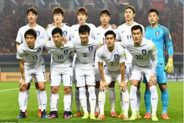 韩国队世界杯名单哪些球员(韩国世界杯大名单出炉)-第1张图片-波音达手游百科