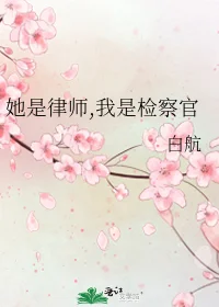 检察官外传的介绍(韩剧检察官外传在哪里可以看)-第2张图片-波音达百科