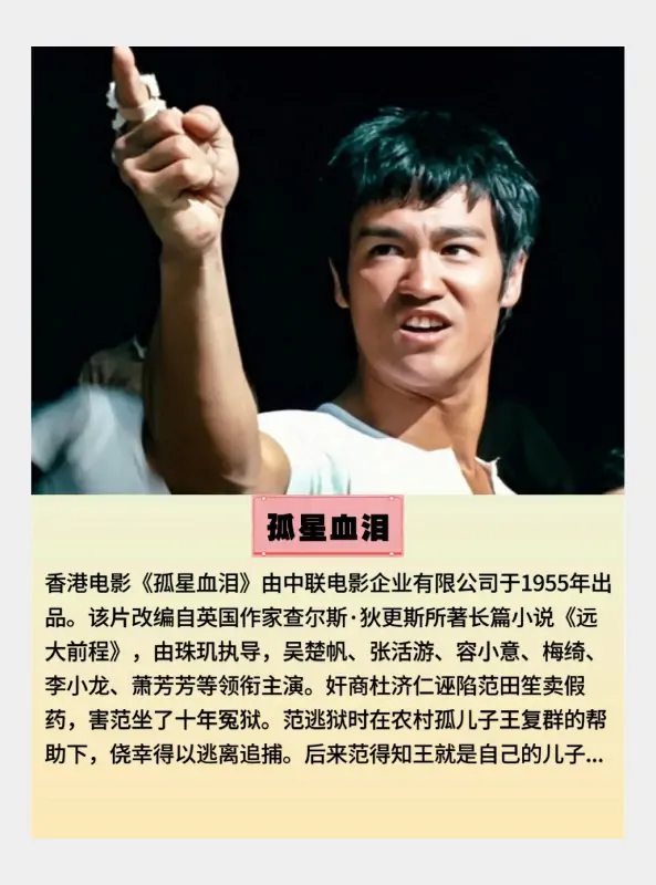 李小龙电影《死亡游戏》内容?哪儿有李小龙电影《死亡游戏》国语版的?-第9张图片-波音达百科