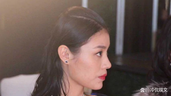 汪峰前两任妻子是谁(汪峰之前有三任前妻)-第6张图片-波音达手游百科