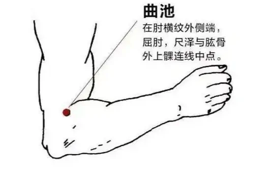 内关的准确位置在哪?内关的准确位置图 艾灸内关的作用与好处-第6张图片-波音达百科
