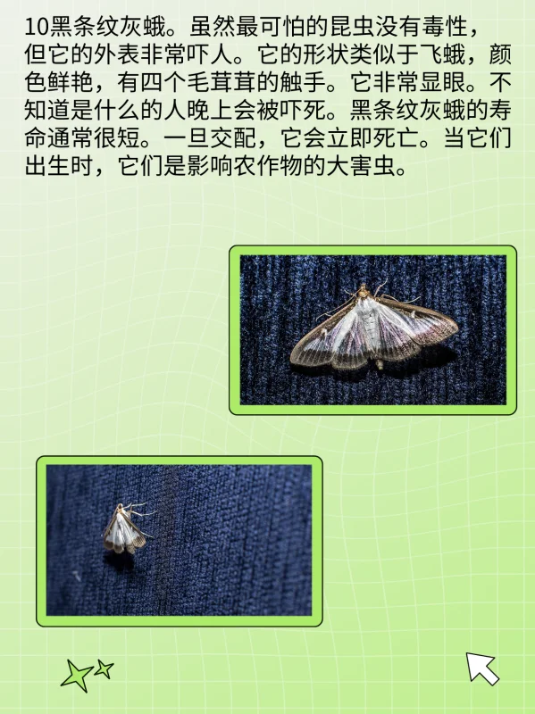 世界禁用的十大子弹(世界十大禁用枪支有什么?)-第12张图片-波音达百科