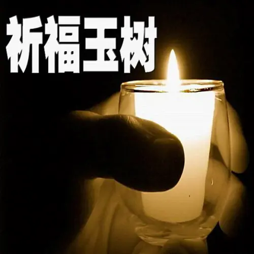 玉树地震是哪一年呢?玉树地震走哪一年-第2张图片-波音达百科