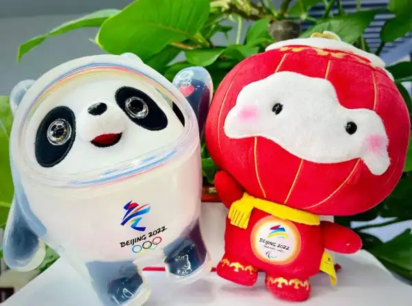 冰墩墩的原型是谁(冰墩墩是以什么为原型设计的)-第5张图片-波音达百科