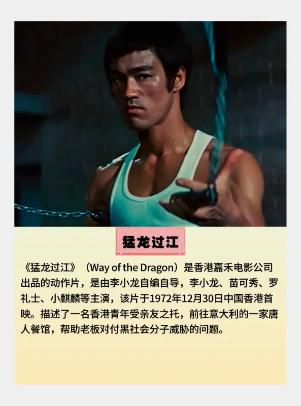 李小龙电影《死亡游戏》内容?哪儿有李小龙电影《死亡游戏》国语版的?-第3张图片-波音达百科