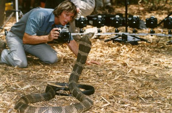 奥斯汀史蒂文斯现在怎么样(奥斯汀 史蒂文斯到底死没死啊??)-第1张图片-波音达百科
