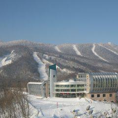 哪个 *** 电视有直播哈尔滨电视台阿??-第1张图片-波音达百科