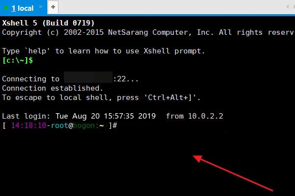 windows操作系统与linus操作系统有什么异同?-第3张图片-波音达百科