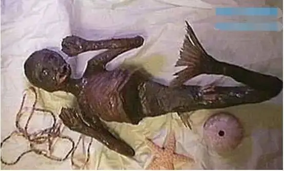 水怪是怎么来的?尼斯湖水怪是怎么形成的?-第4张图片-波音达百科