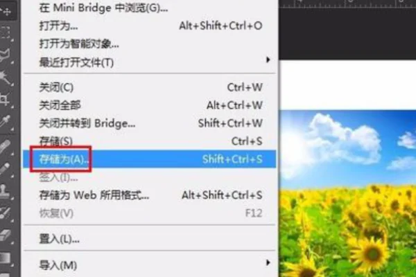 在线等这种图片这么 *** -第12张图片-波音达百科