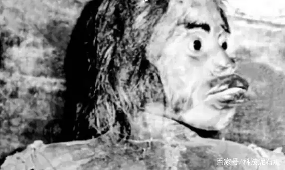 发现之一具木乃伊的人是谁?史上之一具木乃伊是-第5张图片-波音达百科