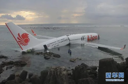 失联飞机旅客名单有多少个国家(飞机失联的几种可能)-第18张图片-波音达百科