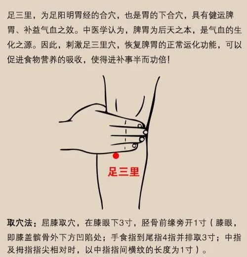 内关的准确位置在哪?内关的准确位置图 艾灸内关的作用与好处-第4张图片-波音达百科
