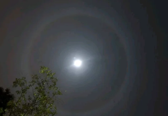 月晕而风 日晕则雨的意思(月晕而风 日晕则雨出处)-第1张图片-波音达百科