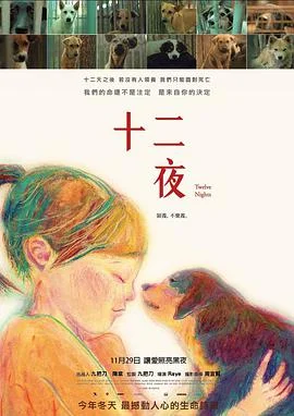 九把刀十二夜在哪里可以看(十二夜的介绍)-第2张图片-波音达百科