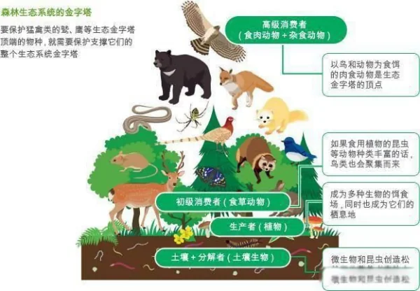 火星男孩五个预言是什么?火星男孩五个预言 末日的预言我们并不陌生-第9张图片-波音达百科