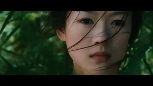 藏龙卧虎是什么电视剧歌曲?电视剧卧虎藏龙的结局是怎么样的-第2张图片-波音达百科