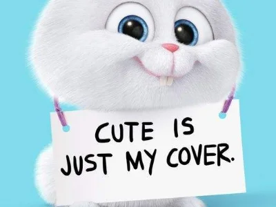 好cute什么意思?被cute到了是什么意思-第2张图片-波音达百科