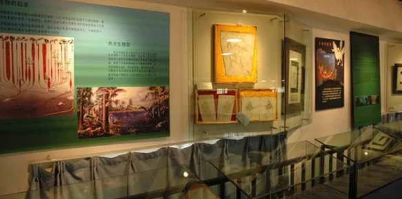 sciencemuseum的谐音-第2张图片-波音达手游百科