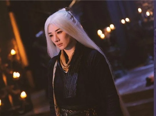 新白发魔女传的演员表字体(新白发魔女传演员表范冰冰)-第8张图片-波音达手游百科