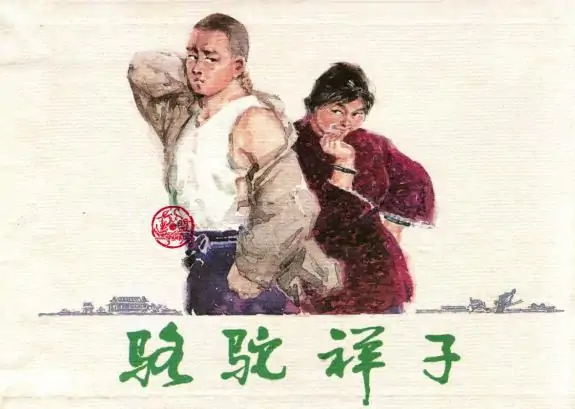 祥子的故事之新都市人剧情介绍(都市新人电视剧祥子的故事?)-第1张图片-波音达手游百科