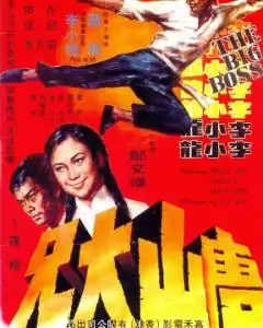李小龙在唐山大兄里演得谁?唐山大兄最后和李小龙打的叫什么名字-第1张图片-波音达手游百科