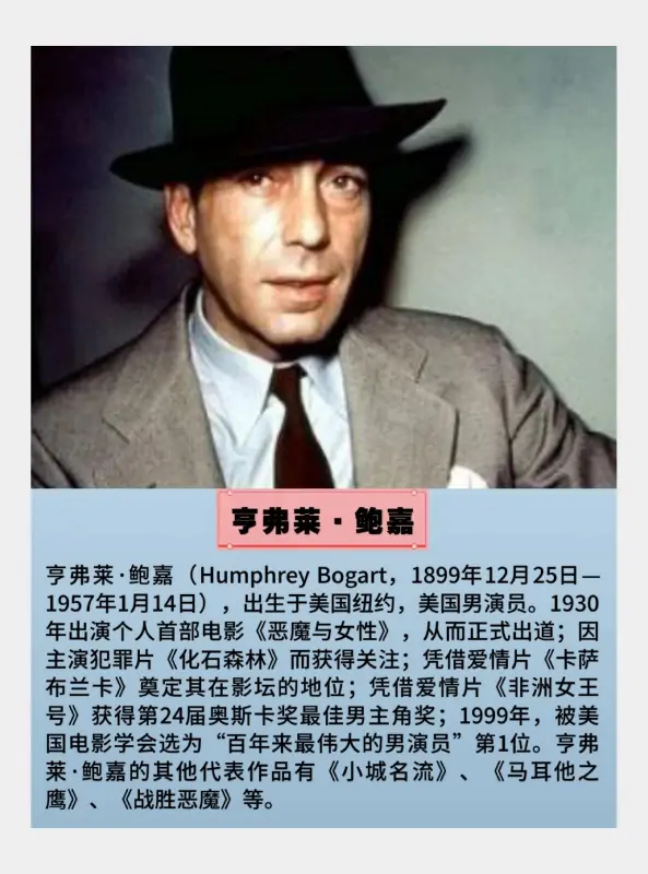 2008年奥斯卡金奖电影是什么?-第6张图片-波音达手游百科