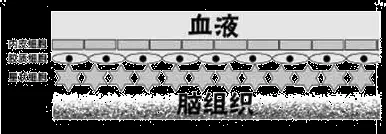 中老年人适合上啥网站?适合中老年人的网站最靠谱的-第4张图片-波音达手游百科