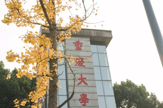 重庆大学的建筑学好吗?重庆大学建筑学校怎么样?-第2张图片-波音达手游百科