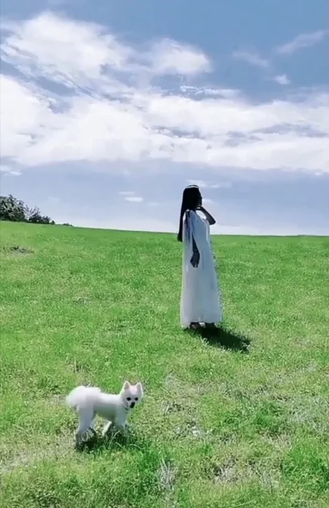 白雪公主为什么要写成 snow white 而不是 white snow?-第2张图片-波音达手游百科