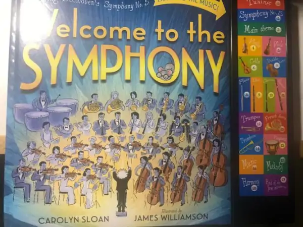 奥迪的symphony是什么啊?symphony怎么读-第2张图片-波音达手游百科