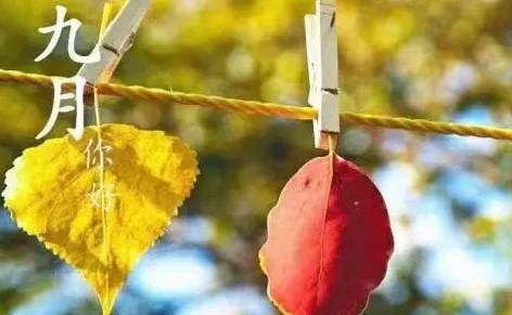 september的音标(september简写?)-第2张图片-波音达手游百科