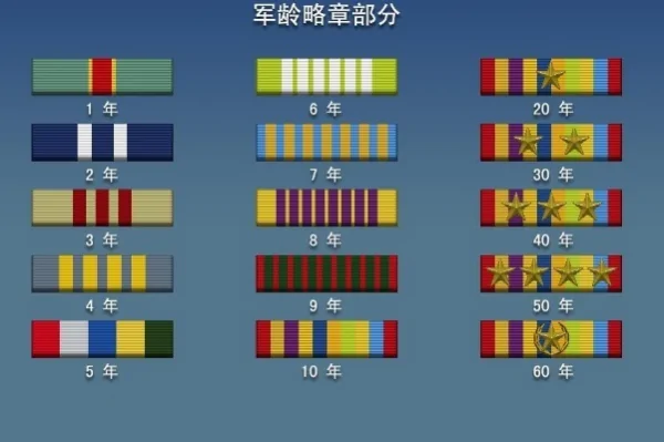 中国人民 *** 由哪些军种组成(中国人民 *** 的胸牌怎样区分?)-第3张图片-波音达手游百科