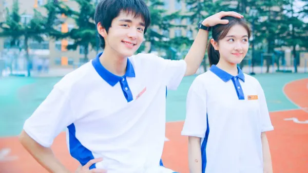 2009偶像剧排行榜结果如何?-第11张图片-波音达手游百科