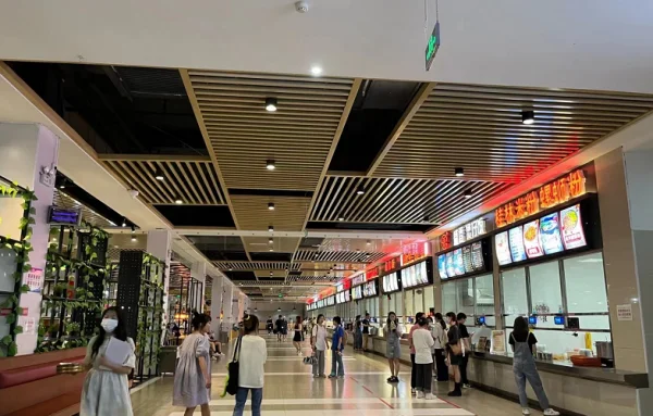 华中师范大学有多牛(武汉华中师范大学怎么样)-第11张图片-波音达手游百科