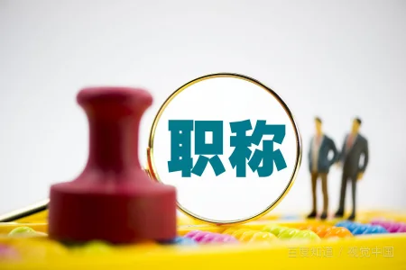 河南省职称工作信息系统个人版怎么申报-第2张图片-波音达手游百科