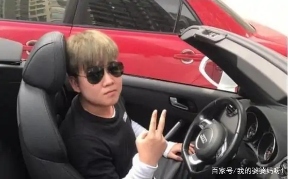 变形记易虎臣回访结尾曲是什么(变形记易虎臣简介)-第8张图片-波音达手游百科